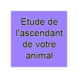 Etude de l'ascendant de votre animal