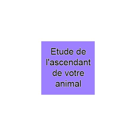 Etude de l'ascendant de votre animal