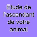 Etude de l'ascendant de votre animal