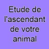 Etude de l'ascendant de votre animal