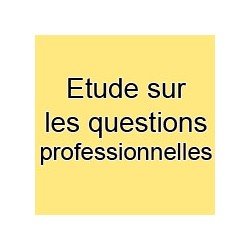 Etude sur les questions professionnelles