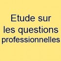 Etude sur les questions professionnelles